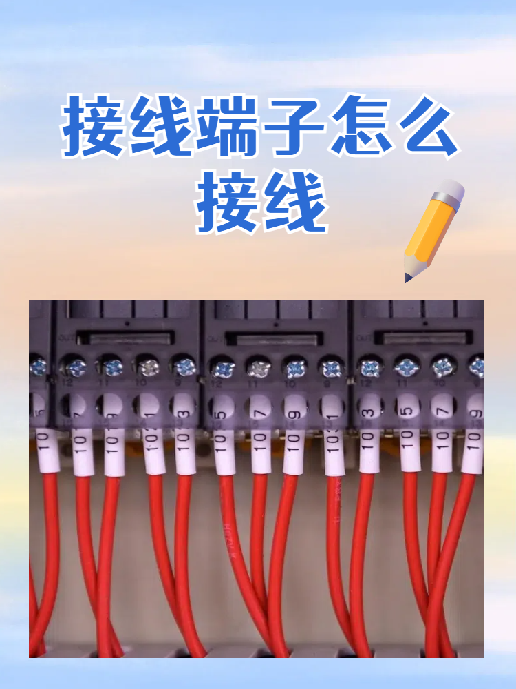接线端子怎么接线