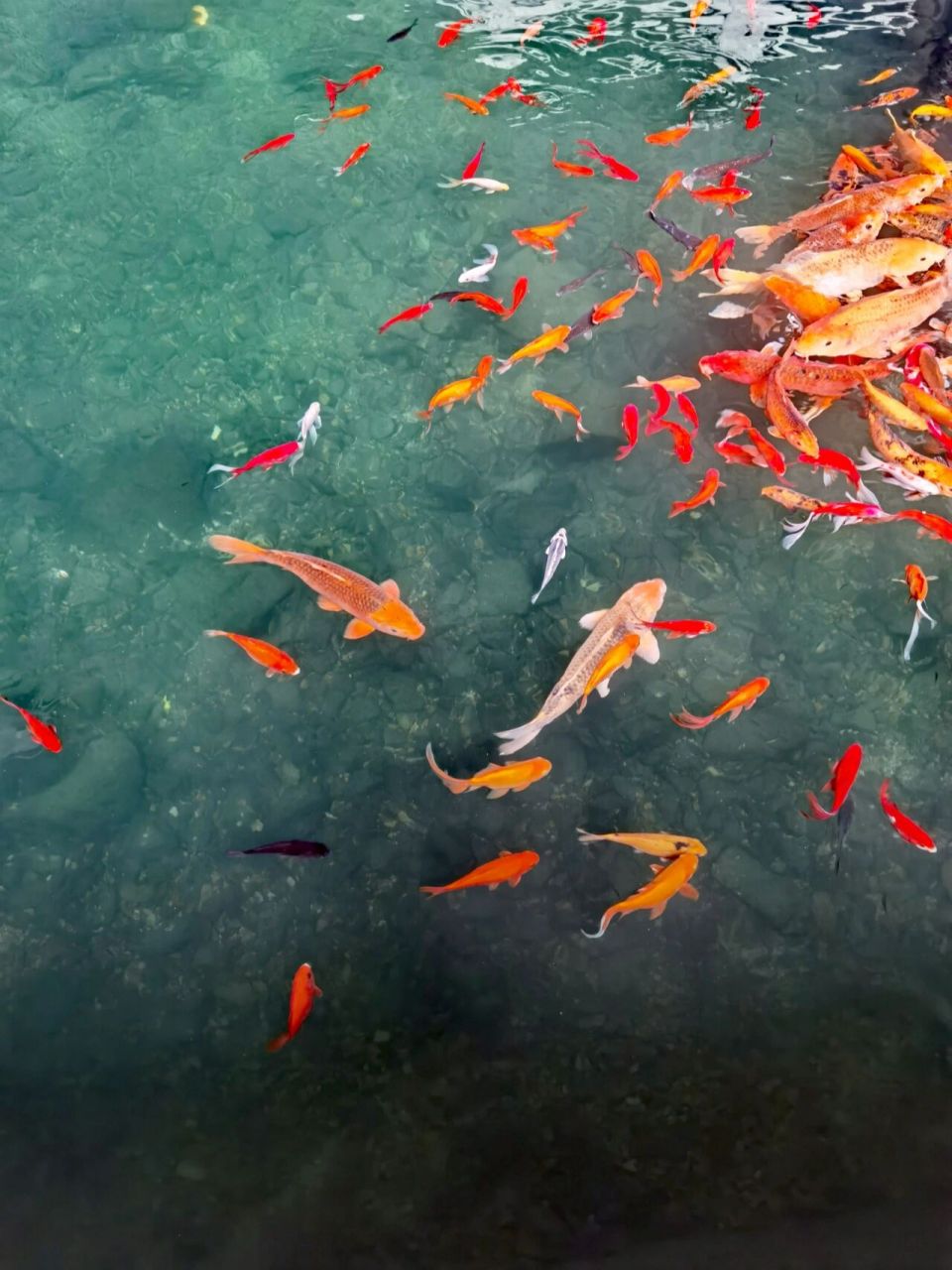 【用途】与其说是用水,不如说是用阳气.