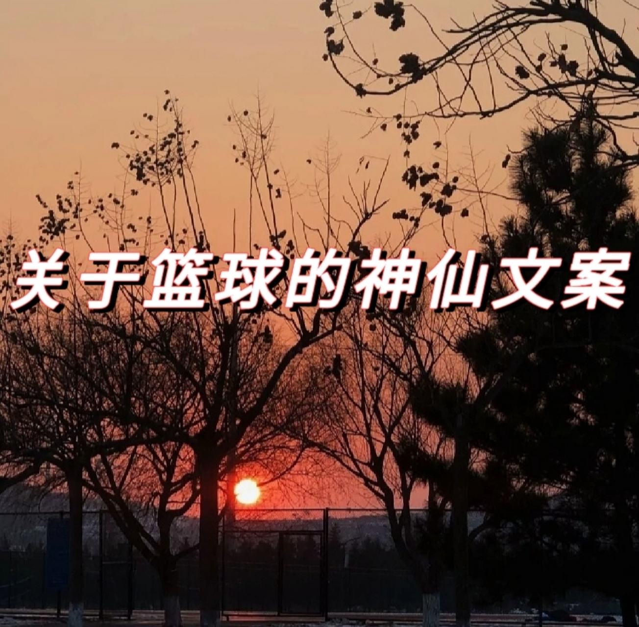 关于篮球的神仙文案 #文案