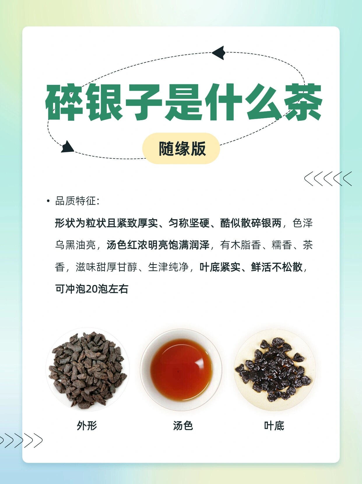 碎银子普洱茶泡法图片