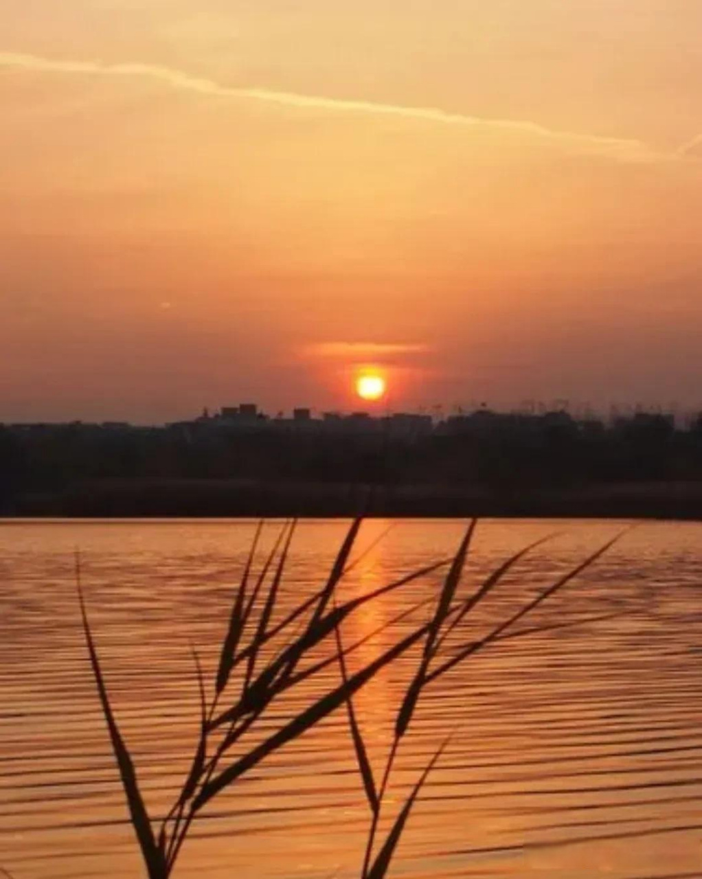 漂亮的网图背景夕阳图片