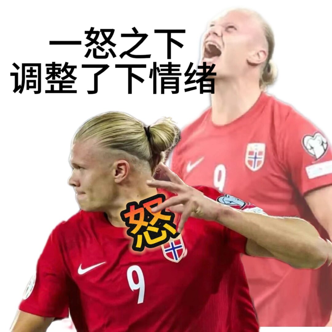发疯表情包🔥我精神不正常让让我怎么了
