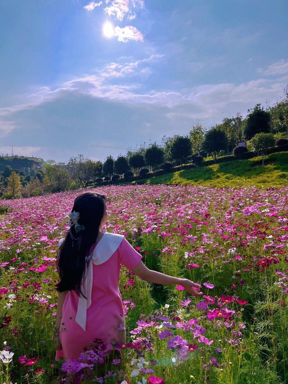 我大寻乌县黄岗山公园的漂亮花海 每次回来都必去的一个地方~风景好