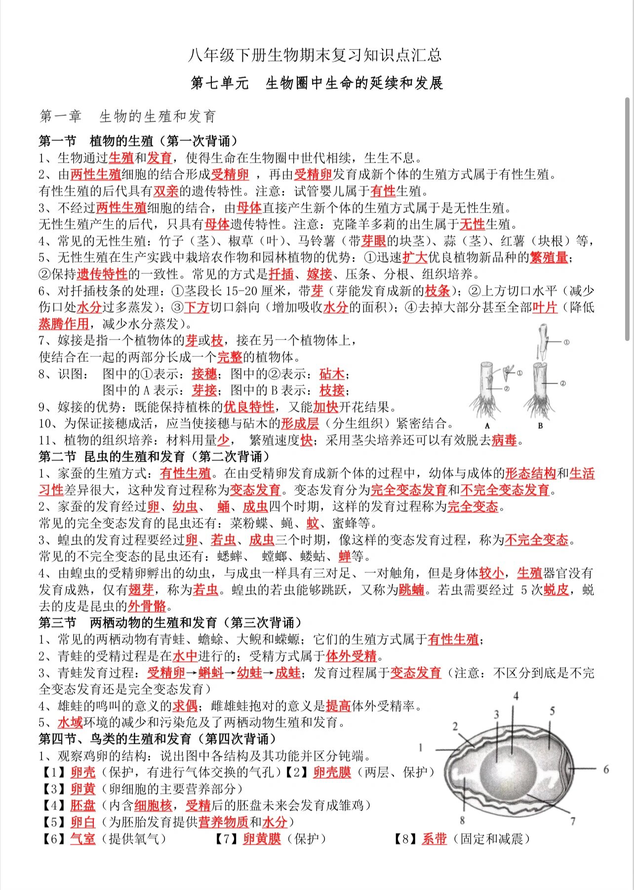 初二生物遗传图解六个图片