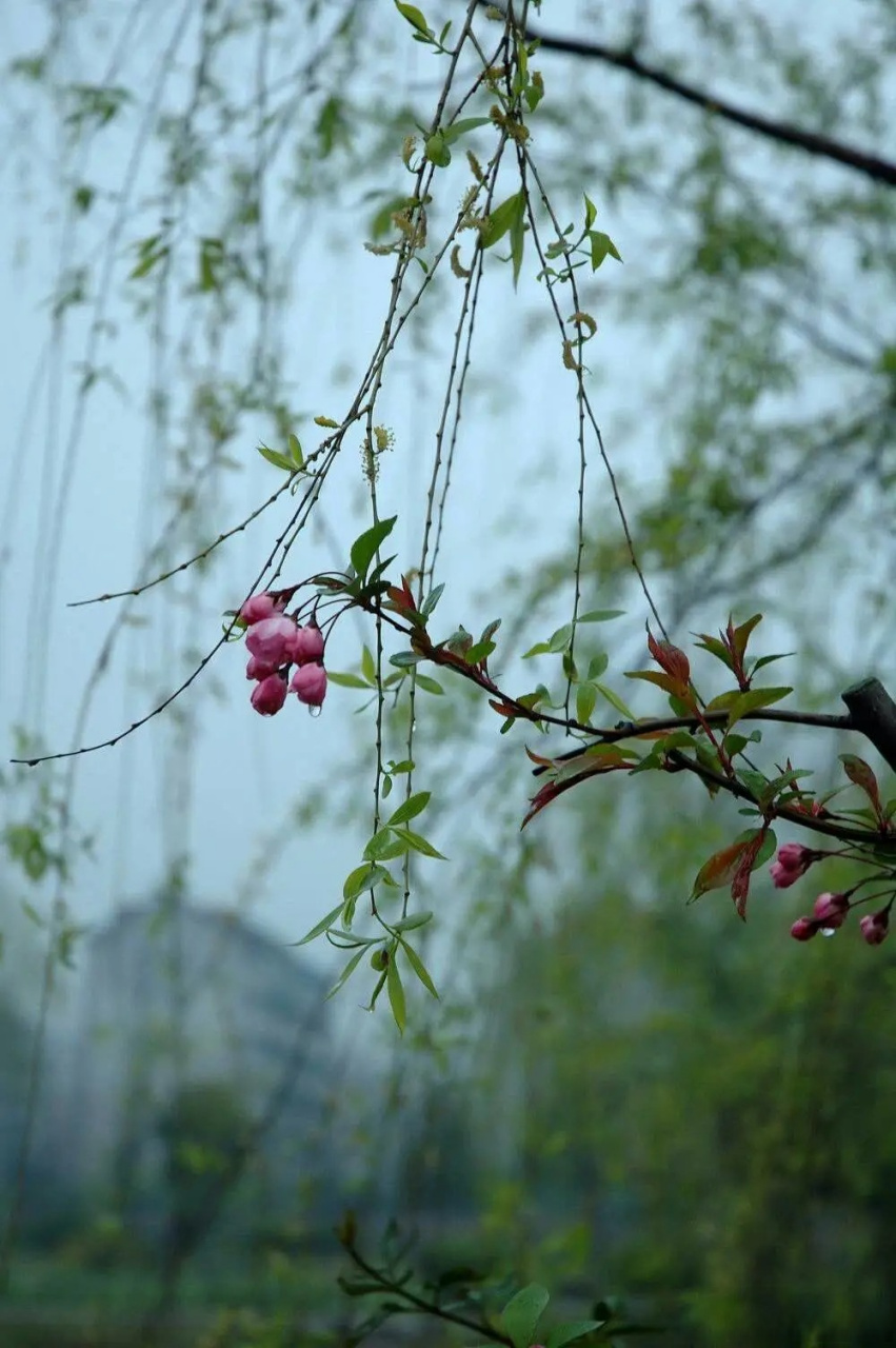 小雨转阴图片