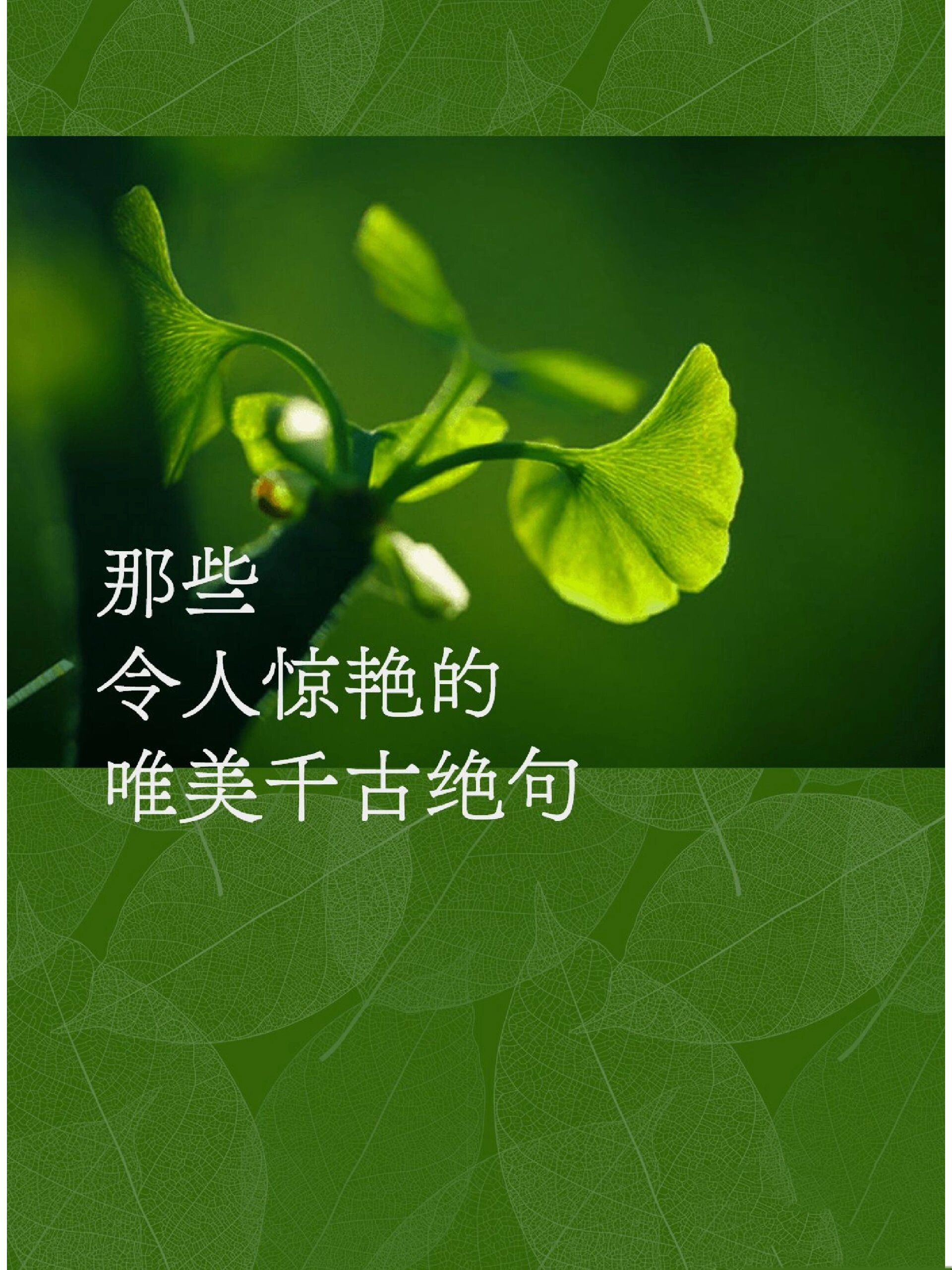 女人励志的句子精致八个绝句(女人励志金句)