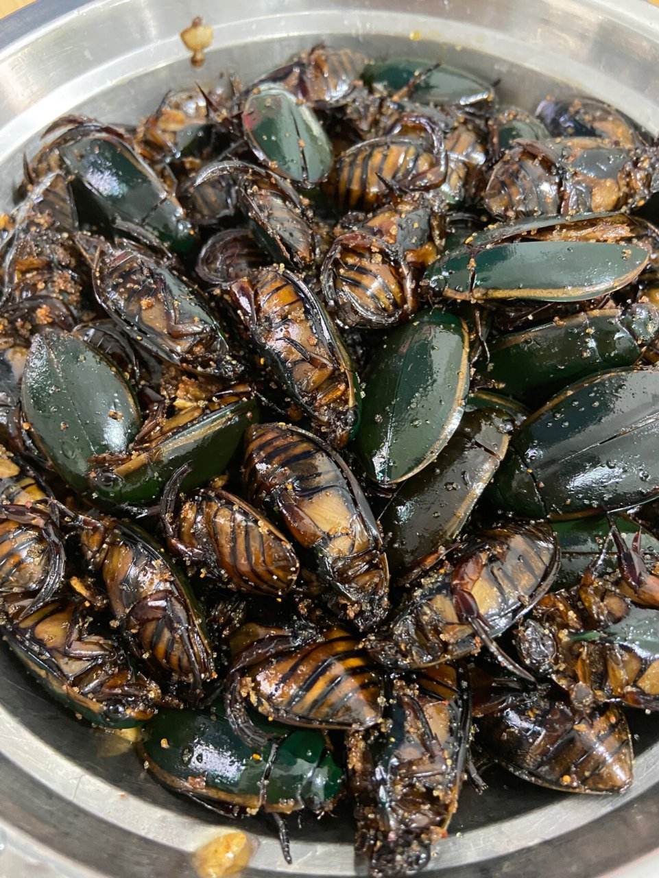 和味金边龙虱 和味金边龙虱,功效:滋阴补肾,止夜尿,小孩子也可以吃