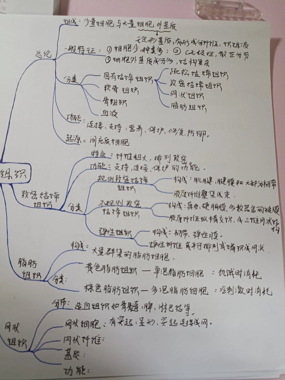 结缔组织思维导图高清图片