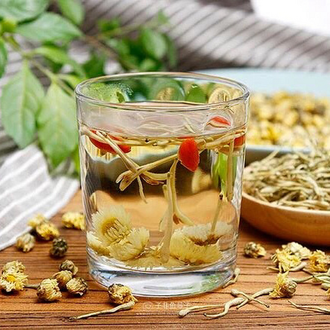 究竟菊花和金银花一起泡水有什么效果呢?