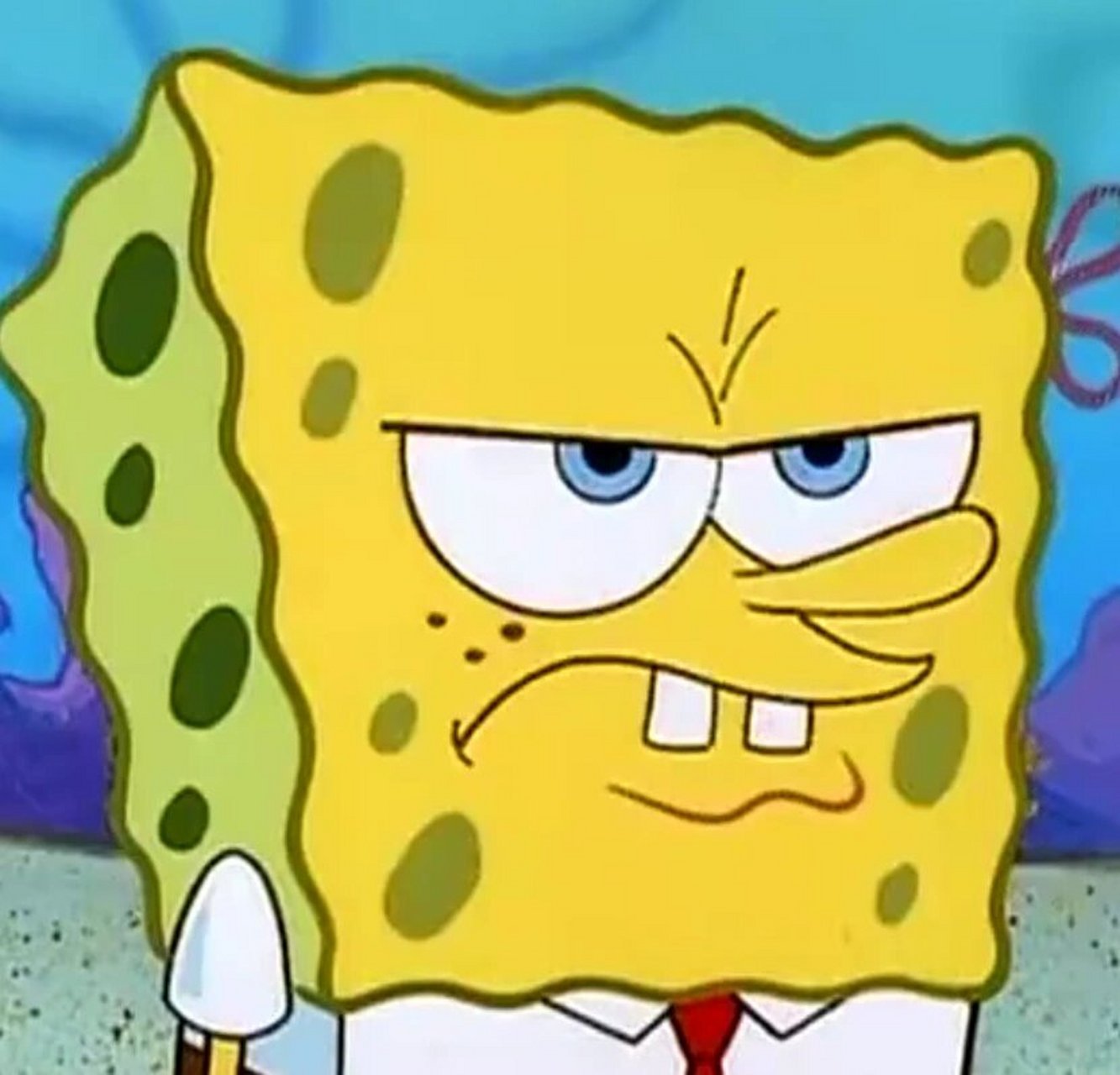 海绵宝宝(头像)表情包 每日分享给你,海绵宝宝系列无文字版