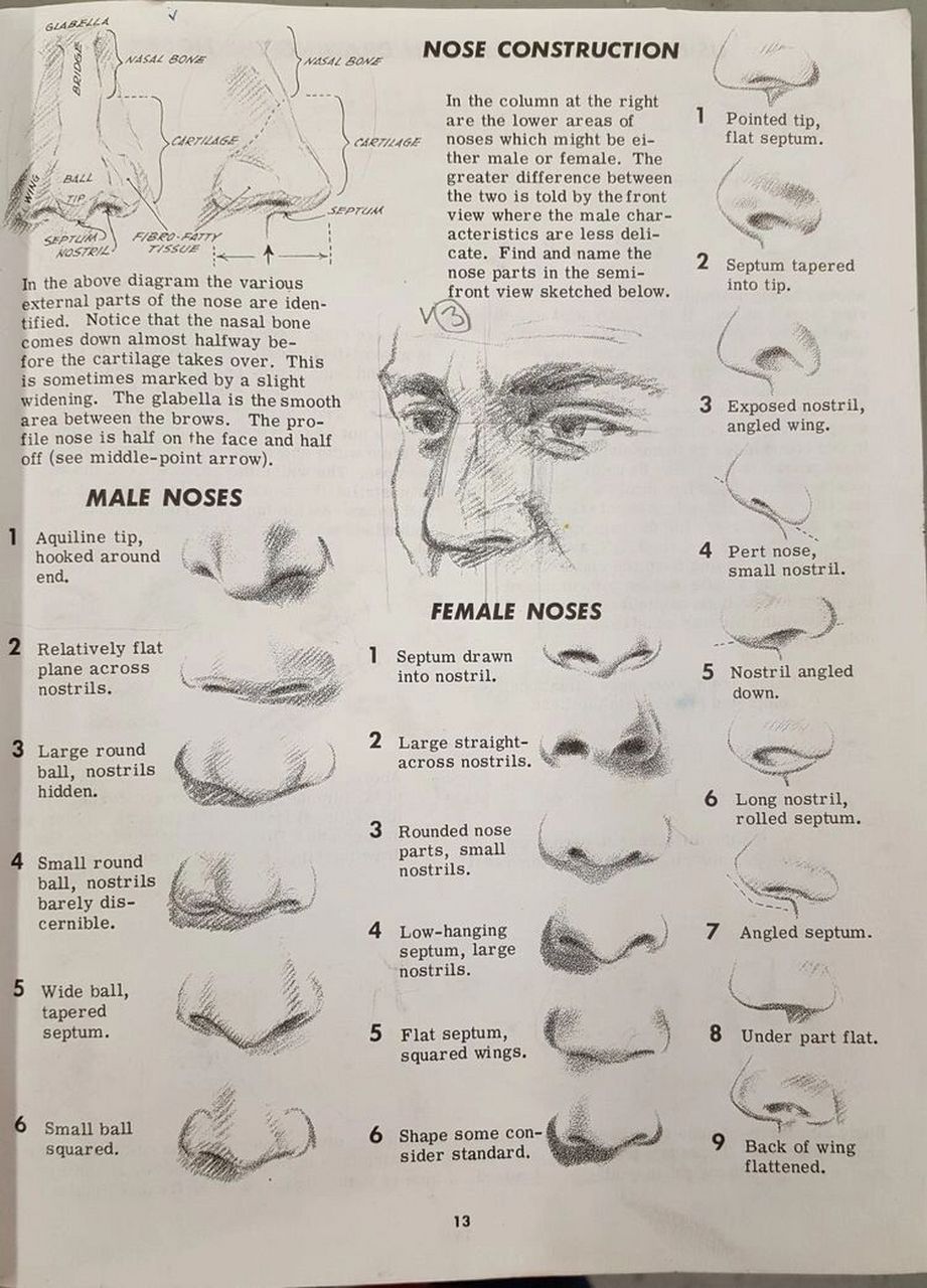 素描速写鼻子刻画,美术生必看!