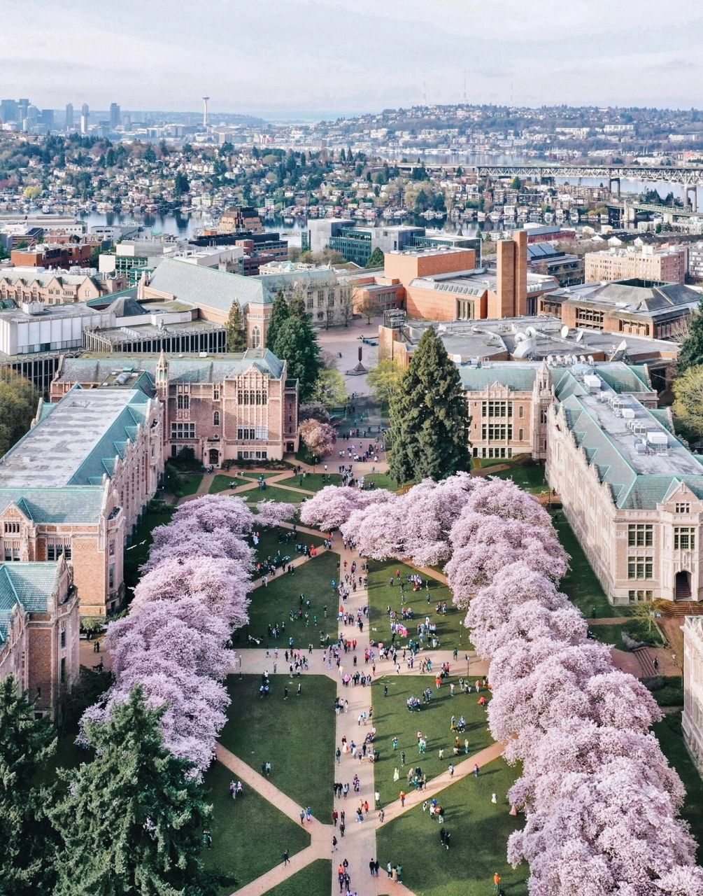 美国华大西雅图大学图片