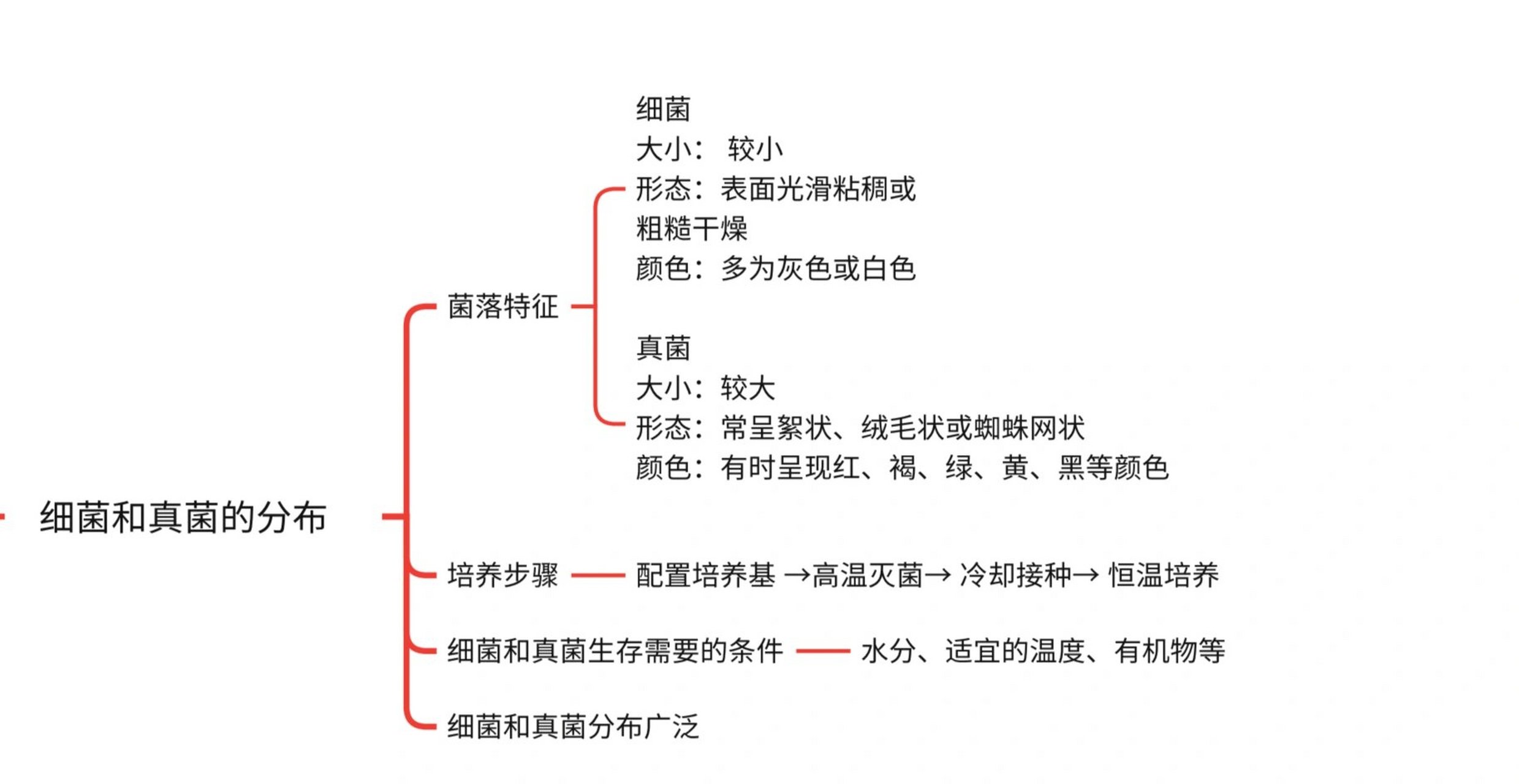 各种细菌的图片和简介图片