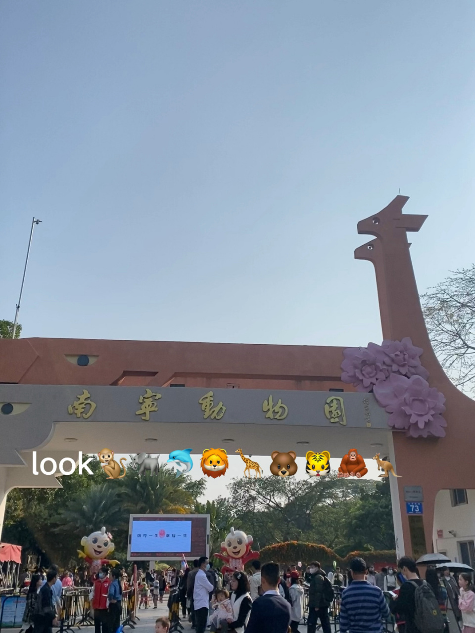南宁动物园一日游🐬🐅🐻🐮🦒🦙🦁️ 门票25一人快冲