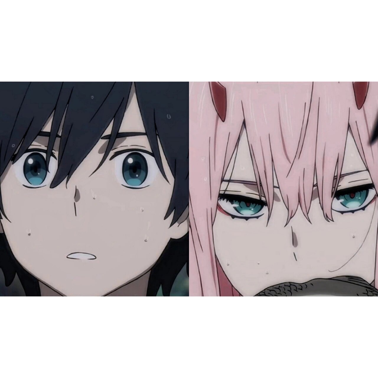 国家队02|情侣头像36615 今天520耶95浅更一波情侣头像 	 "02我