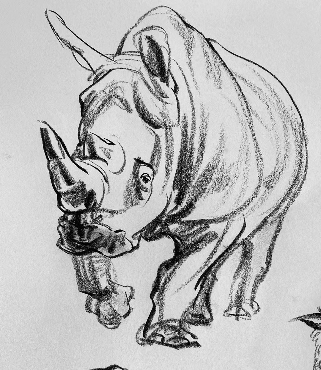 天美犀牛速写 看来练习还是要全面