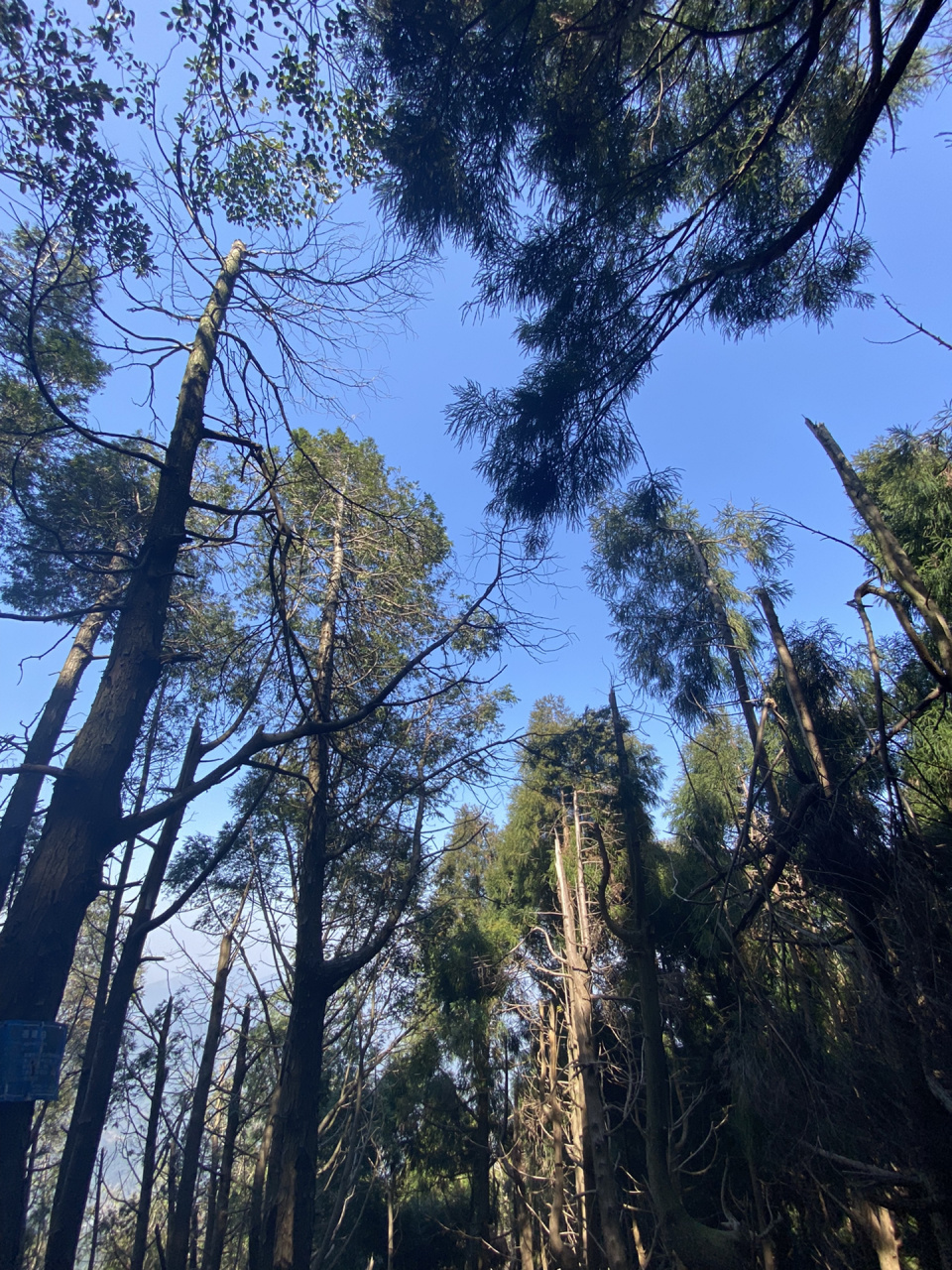 贵港|平天山7215 98"风景是净化心灵的氧化剂"7215  真的是