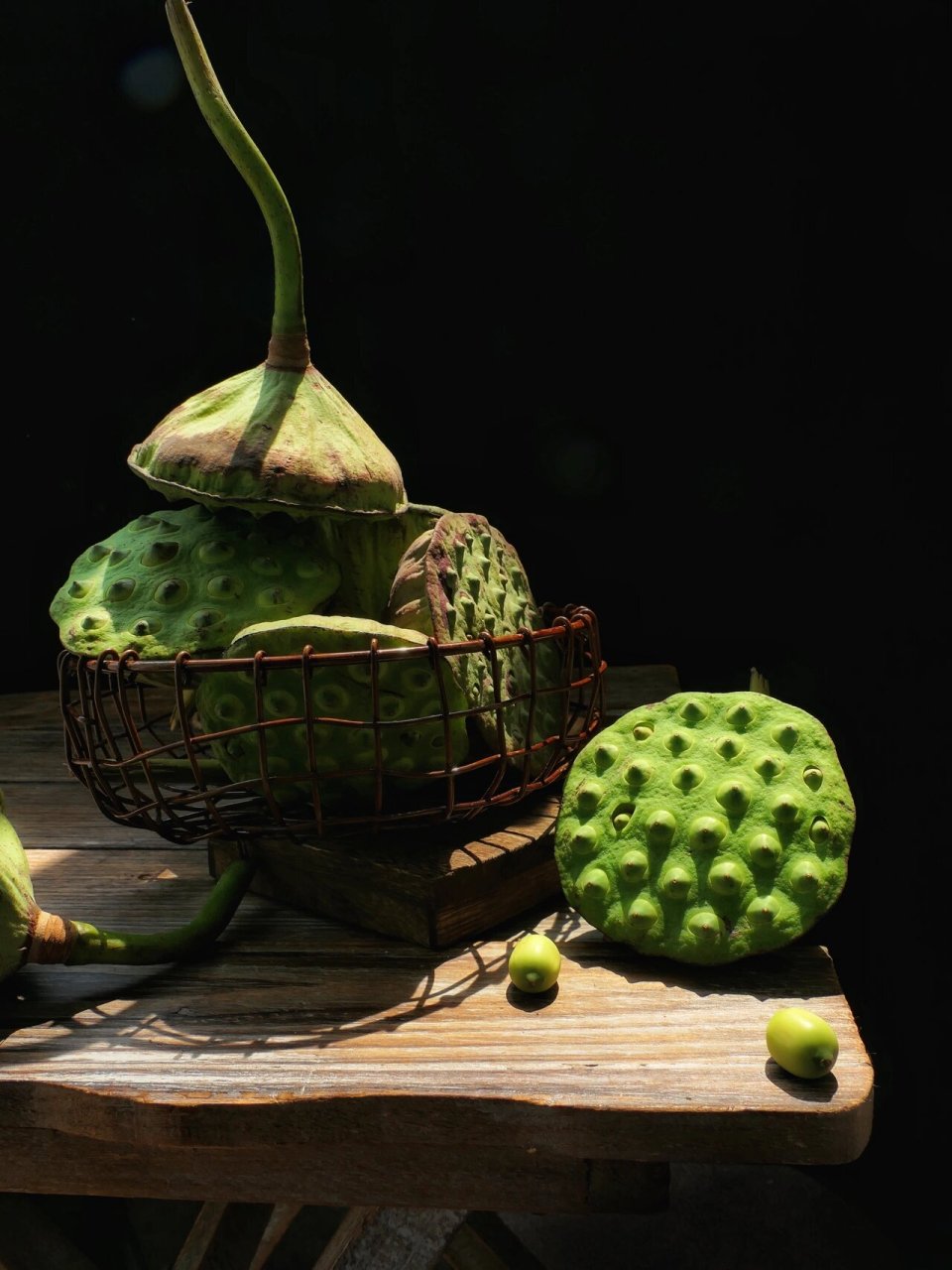 静物-莲蓬 没有凋零的悲哀,只有收获的欢愉.