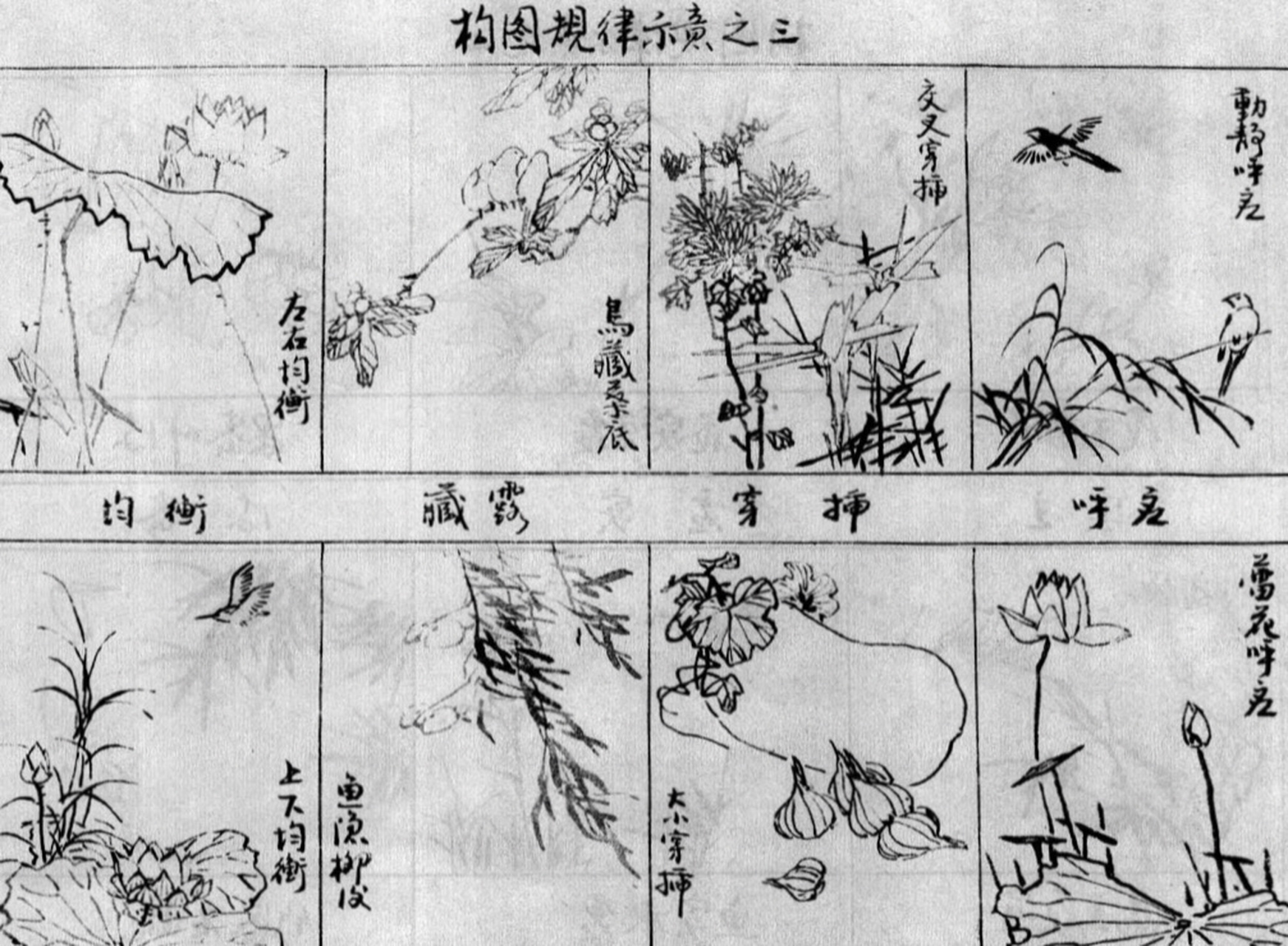 国画花鸟画构图图示总结 构图的规律 1.