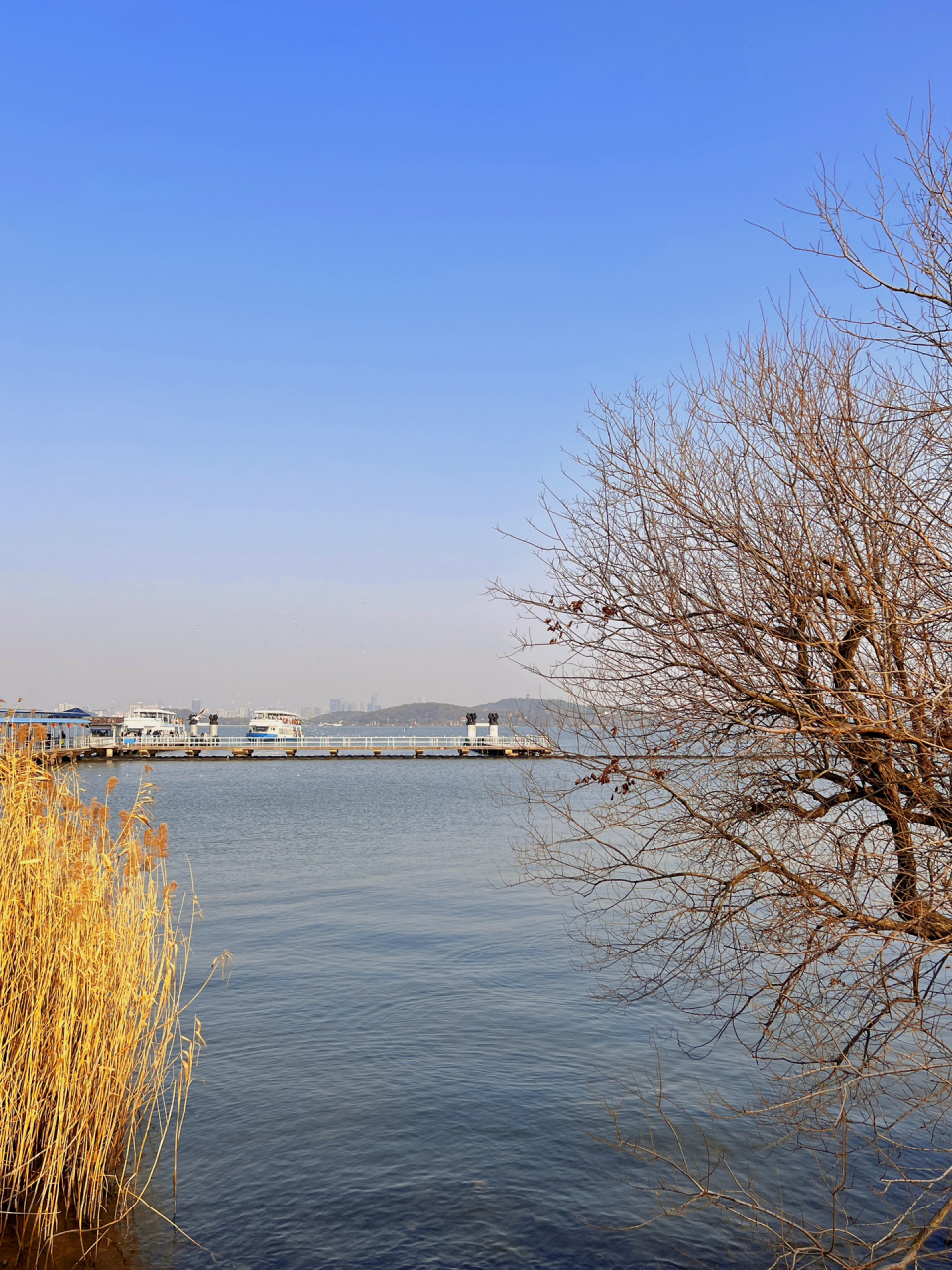 冬季别错过无锡小洱海 地点:江苏省无锡市太湖鼋头渚景区 鼋头渚