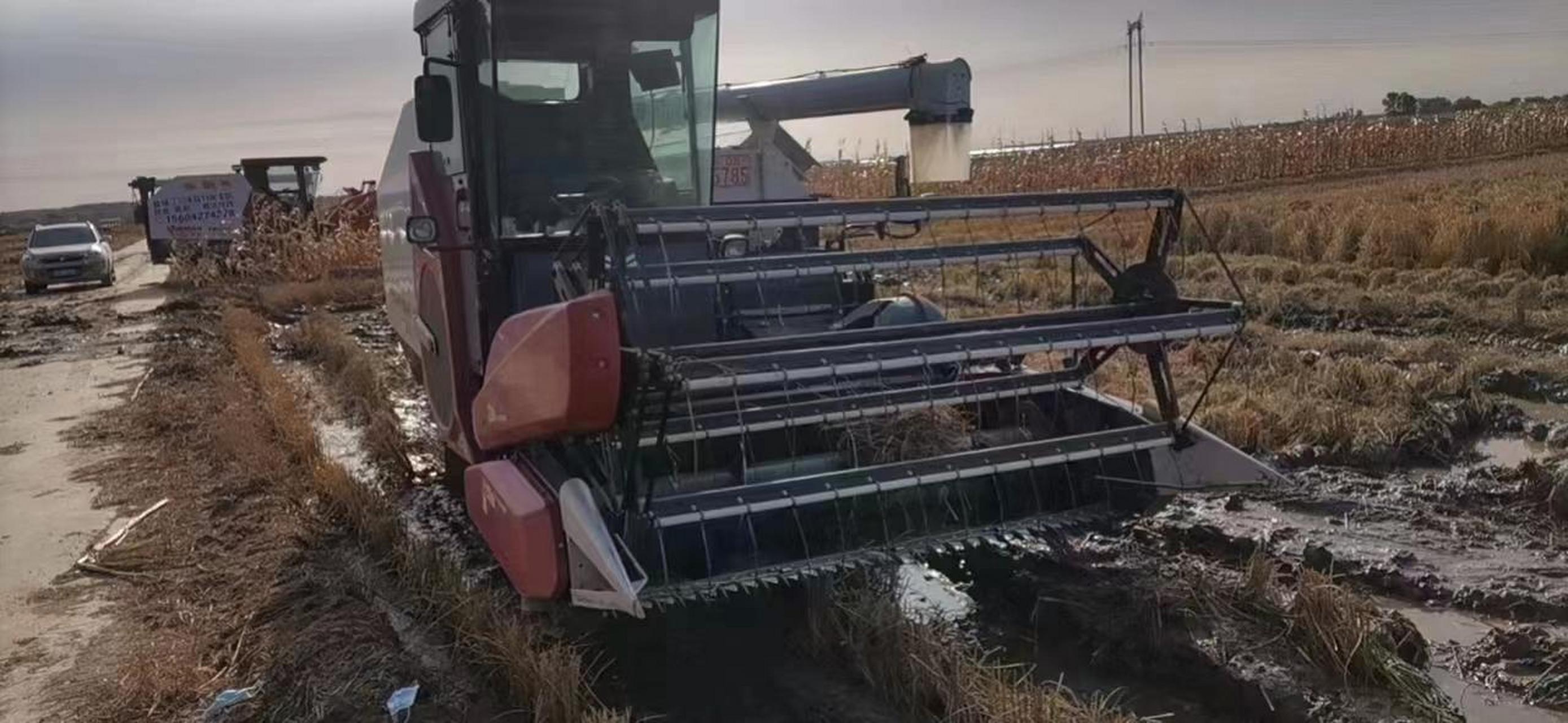 洋马1180全喂入收割机.