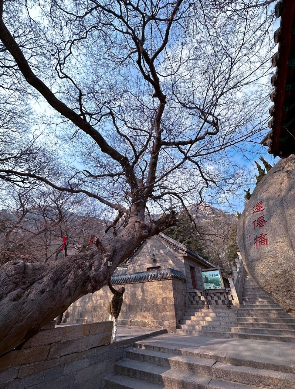 青岛崂山太清宫|隐藏于世间繁华之间的道观 太清宫 位于崂山蟠桃峰下