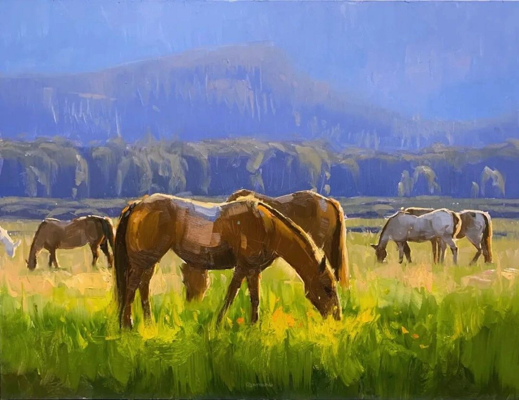 油画欣赏~风景动物 这是女画家stacey peterson 斯泰西·彼得森的风景