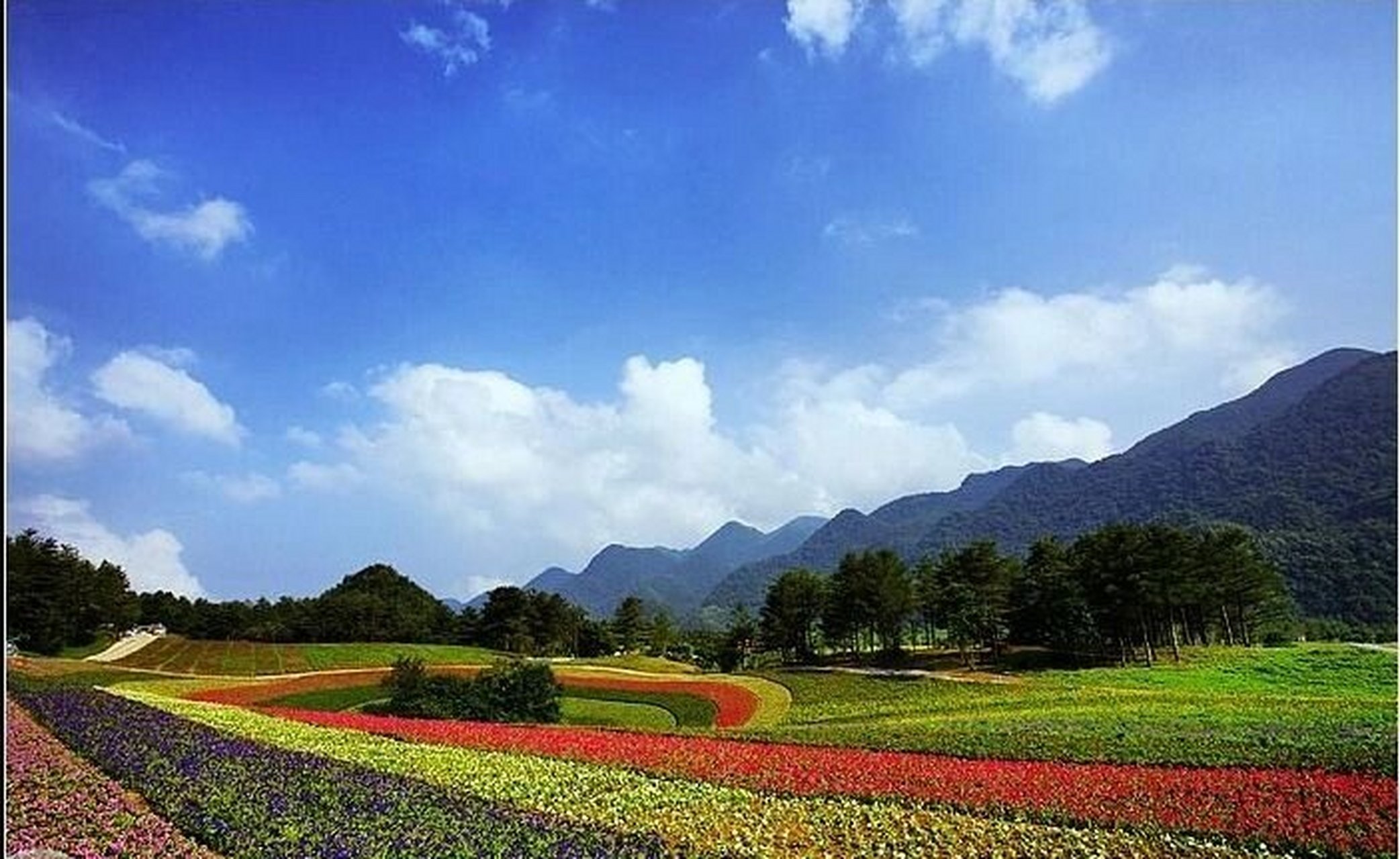 1,红池坝风景区:位于巫溪县文峰镇,红池坝是一处生态旅游胜地,风光