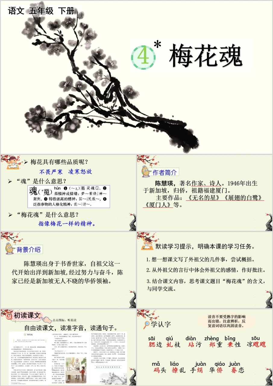 梅花魂主要讲了什么图片