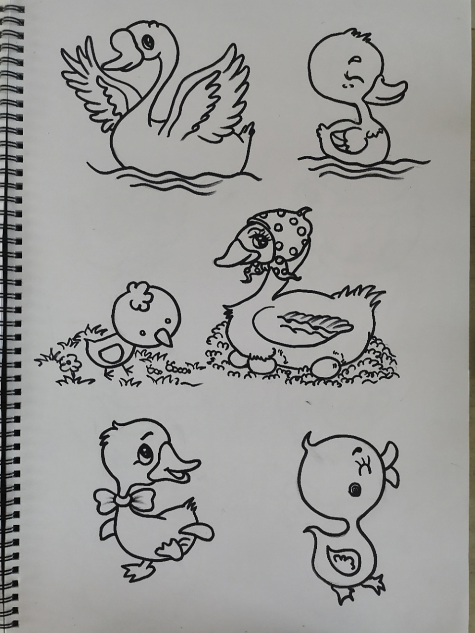 禽类鸟类简笔画 本期是以禽类鸟类为主题的简笔画 小们可参考