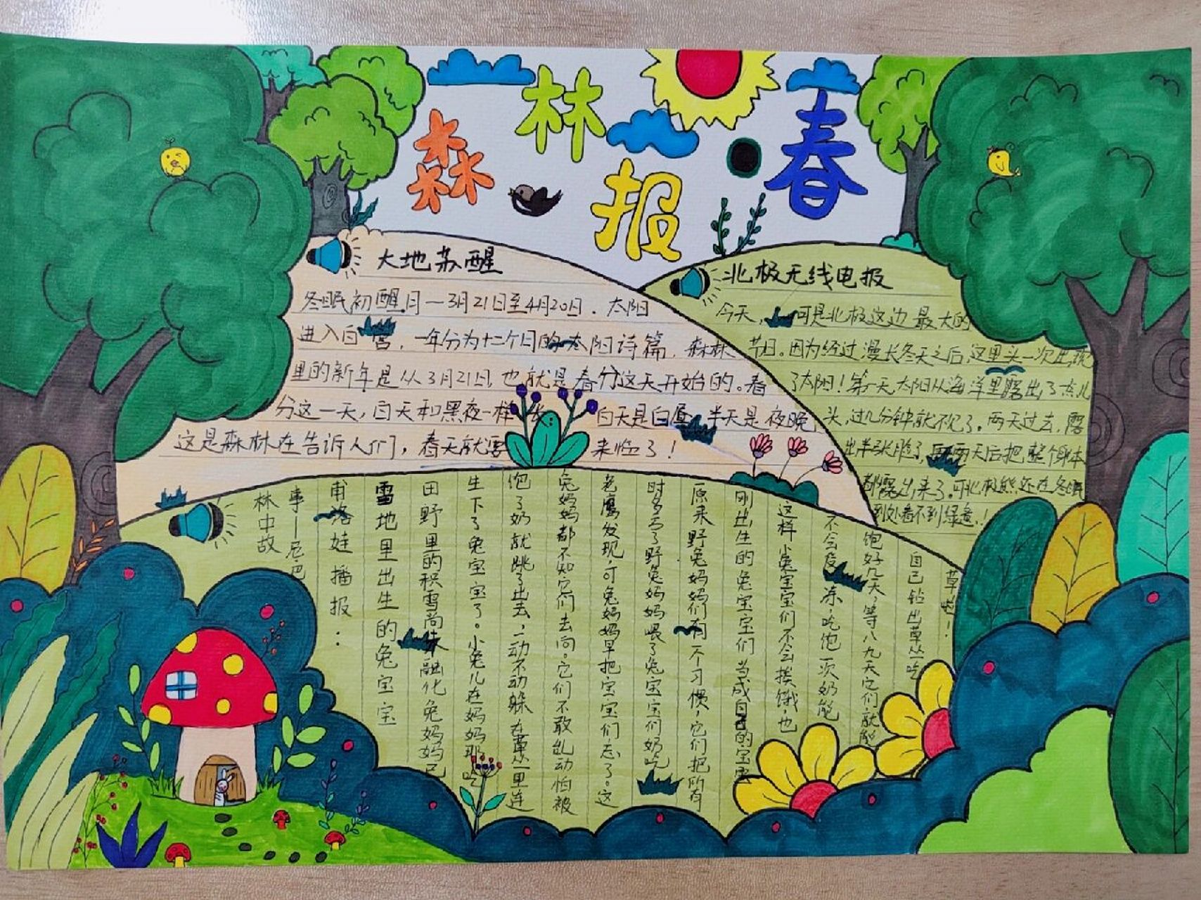 森林报主题手抄报 小红书自带滤镜小红书露营季 前段时间学校举办了