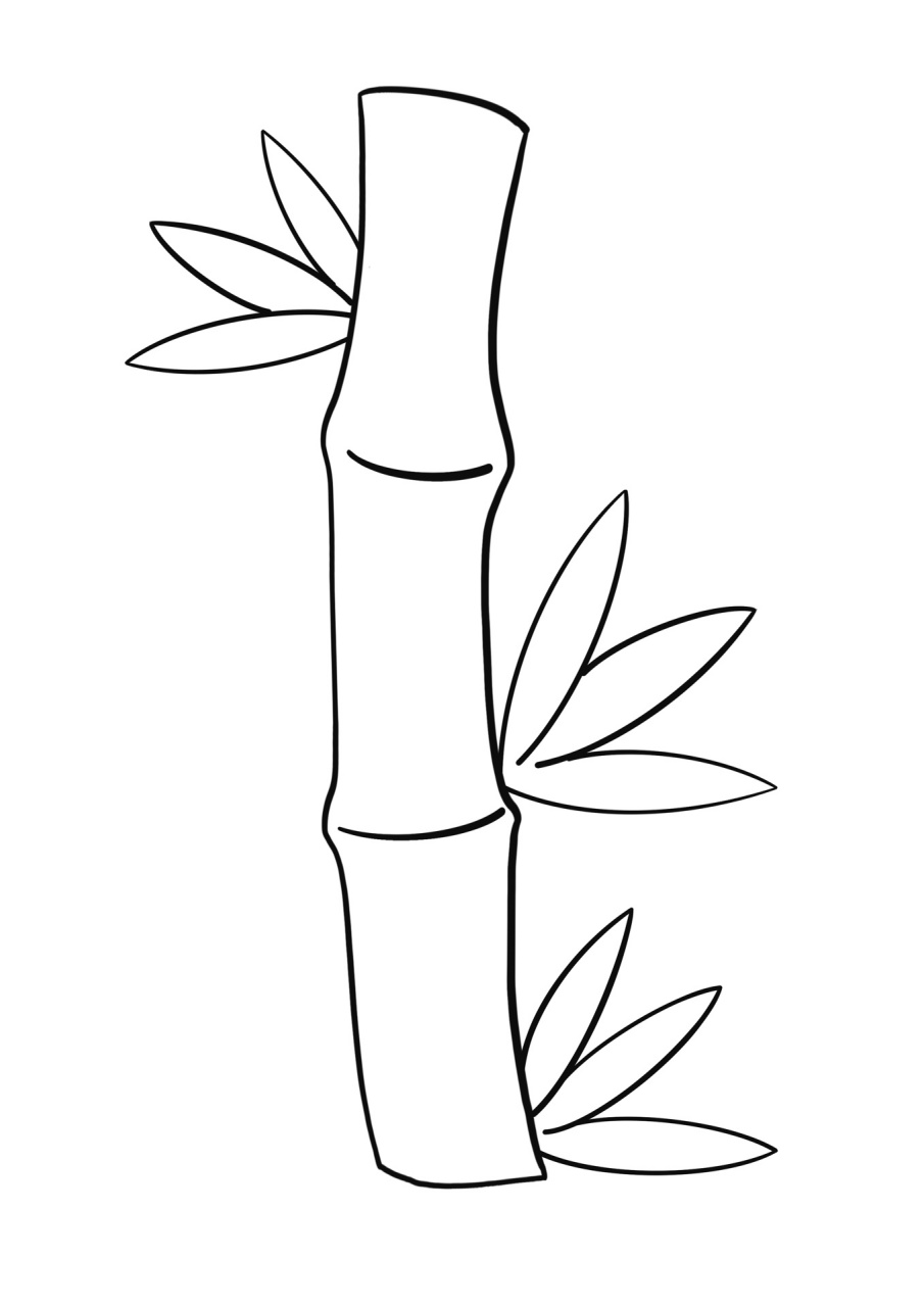 简笔画教程分享 竹子