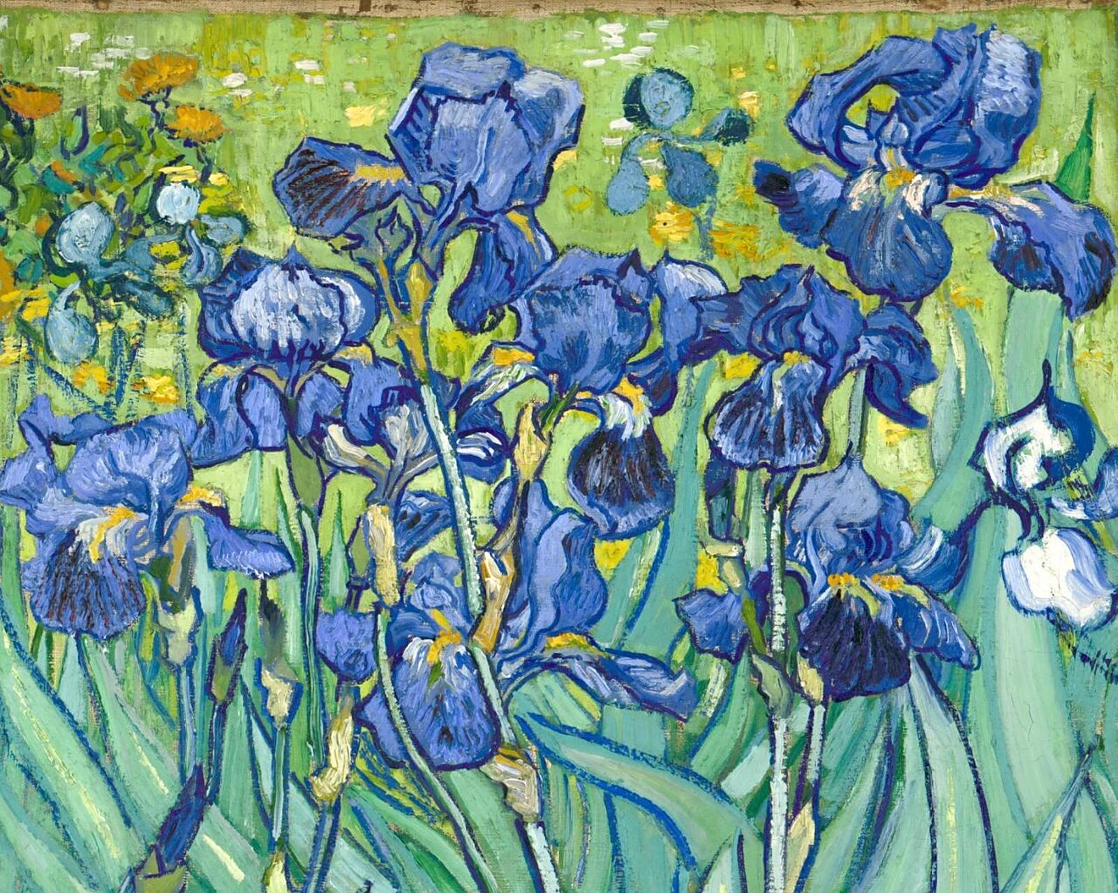 梵高# #鸢尾花# #油画花卉