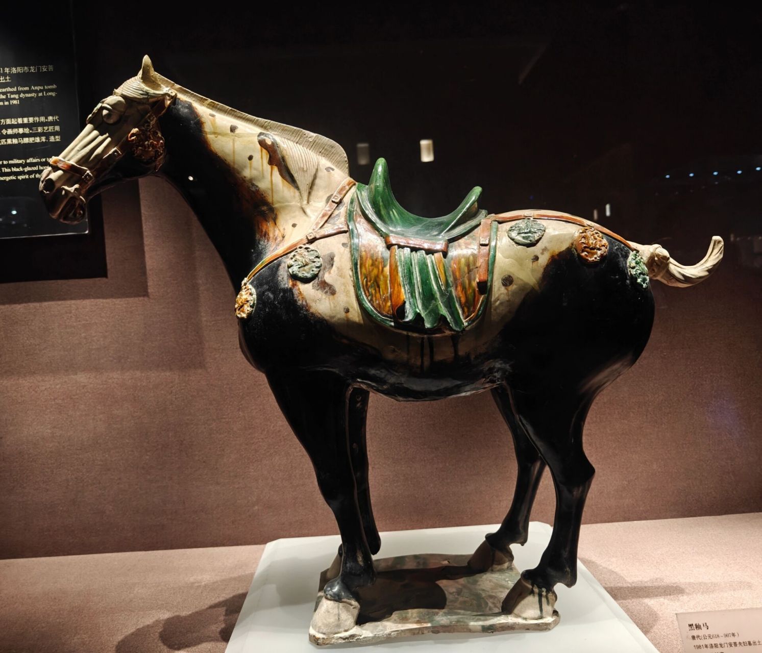 黑陶马是洛阳博物馆镇馆之宝第一名