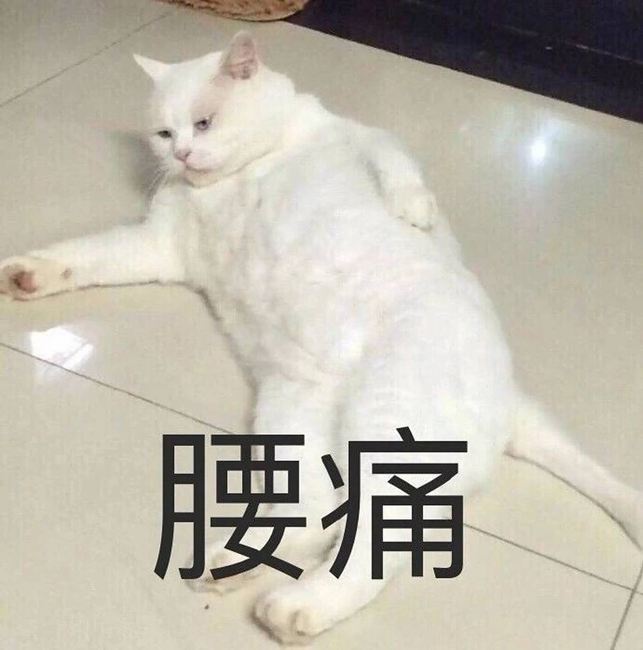 这腰啊可是遭老罪咯 可算被我悟出来了,上班坐那