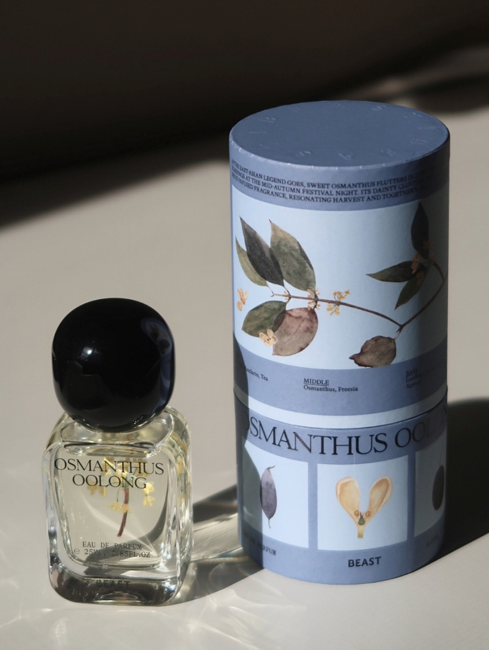 十里洋场 漫街桂花香～ 野兽派新香osmanthus oolong桂花乌龙 高度