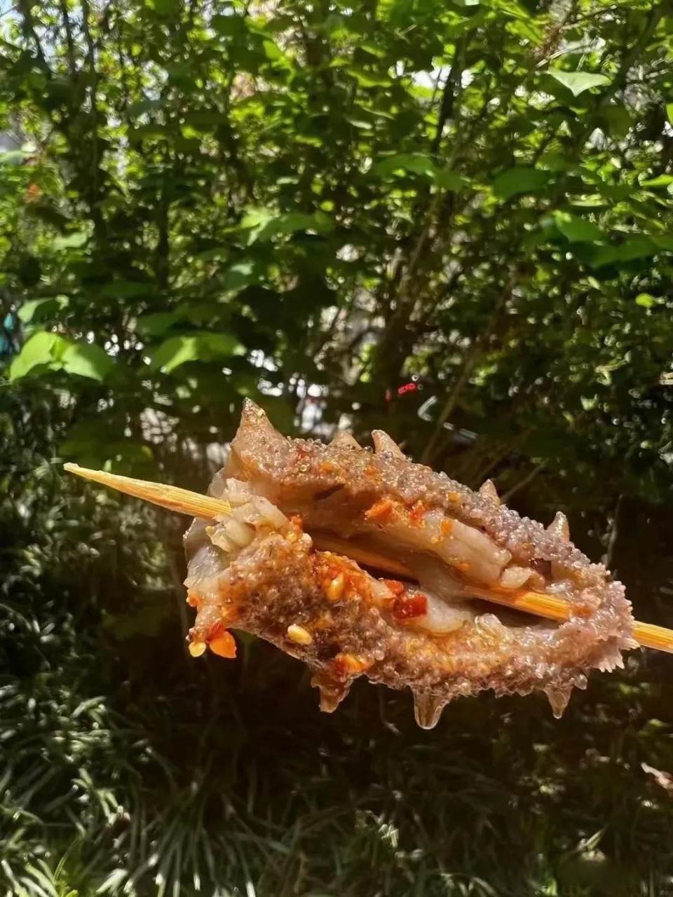 好多人为了迎合淄博烧烤热度也推出了烤海参,就是不知道这样烤出来