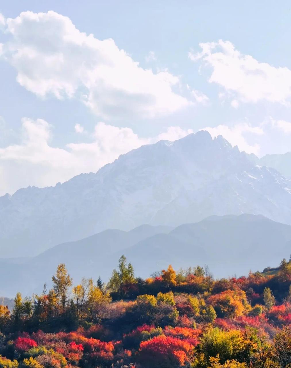 好风景分享7815 太子山,又称太峙山,位于和政,临夏县境内,是临夏