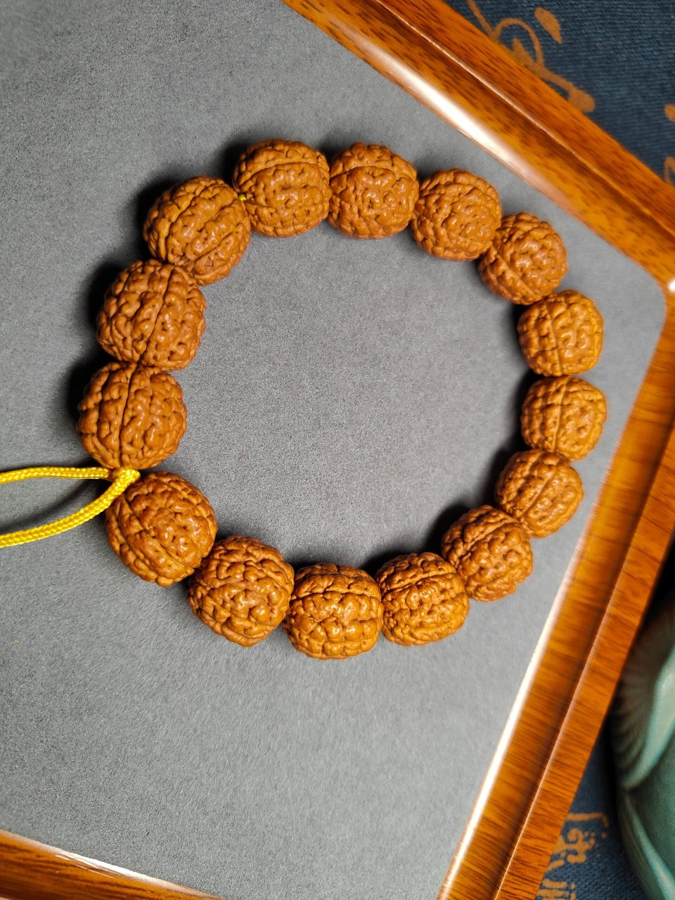 【碧根果】6瓣小金刚单圈 16mm大尺寸 6瓣!6瓣!6瓣!