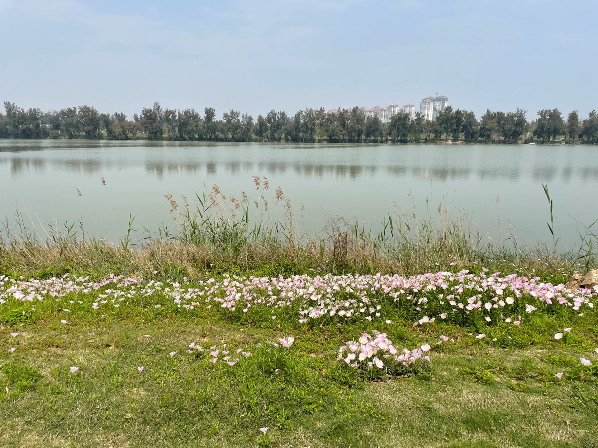 泉州台商海丝生态公园