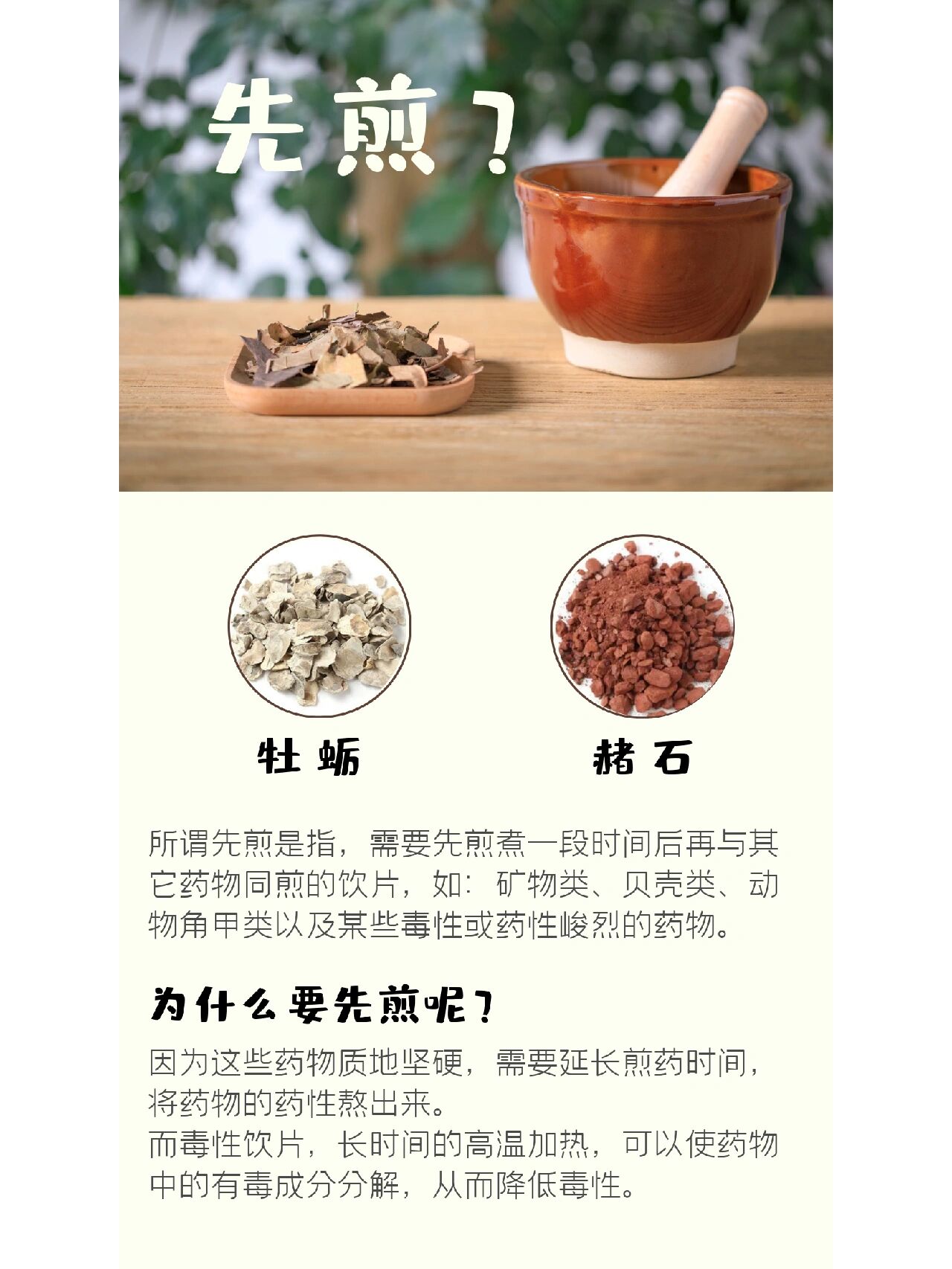 辛夷为什么要包煎