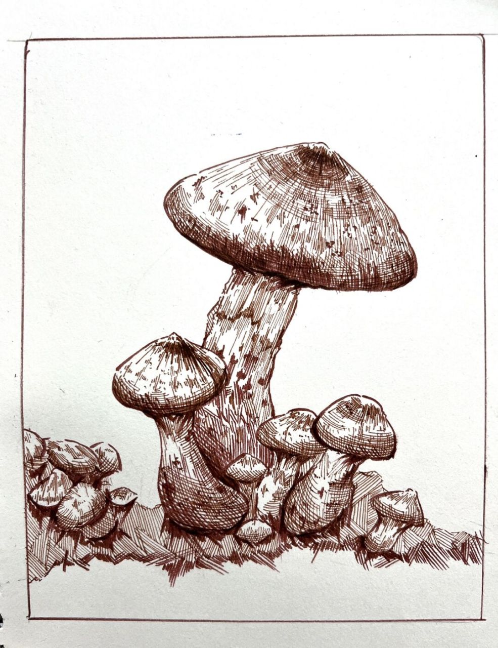 钢笔画蘑菇96附步骤图14/100 "心中有山海,以梦为马,不负韶华" 最近