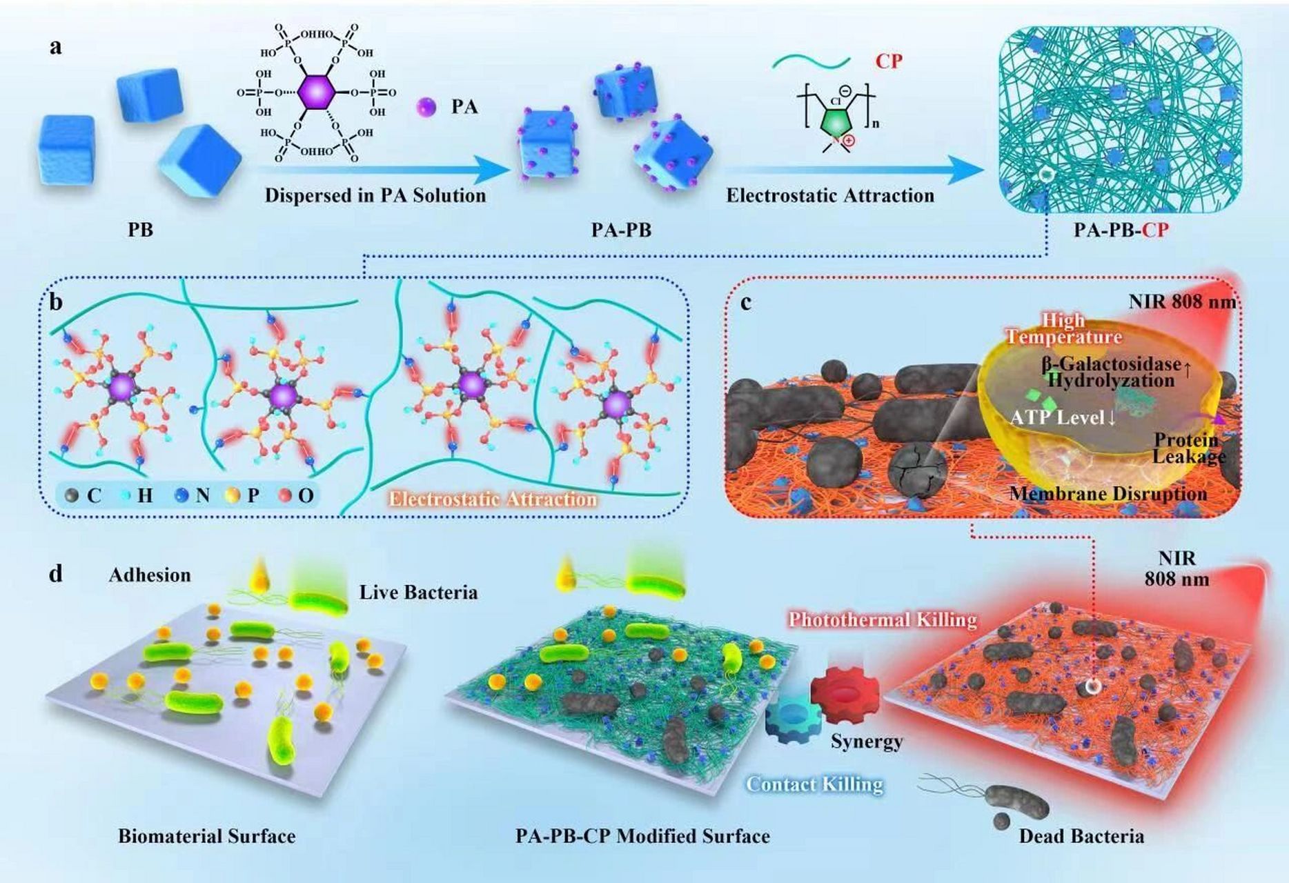 【科研绘图】导师会爱上这种toc图 为西南大学kang en-tang老师团队