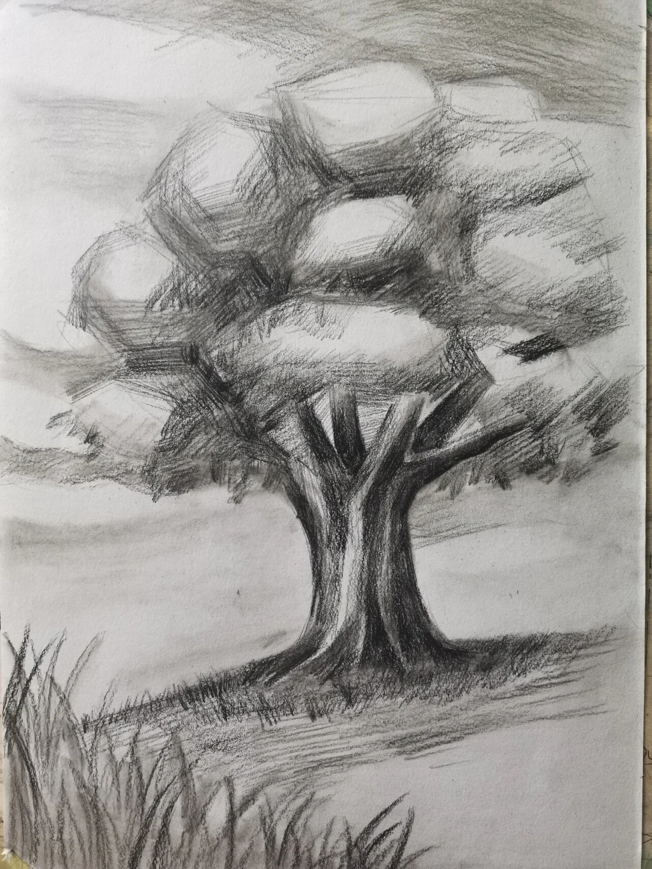 植树节主题画素描大树@三好学生小茗同学的动态