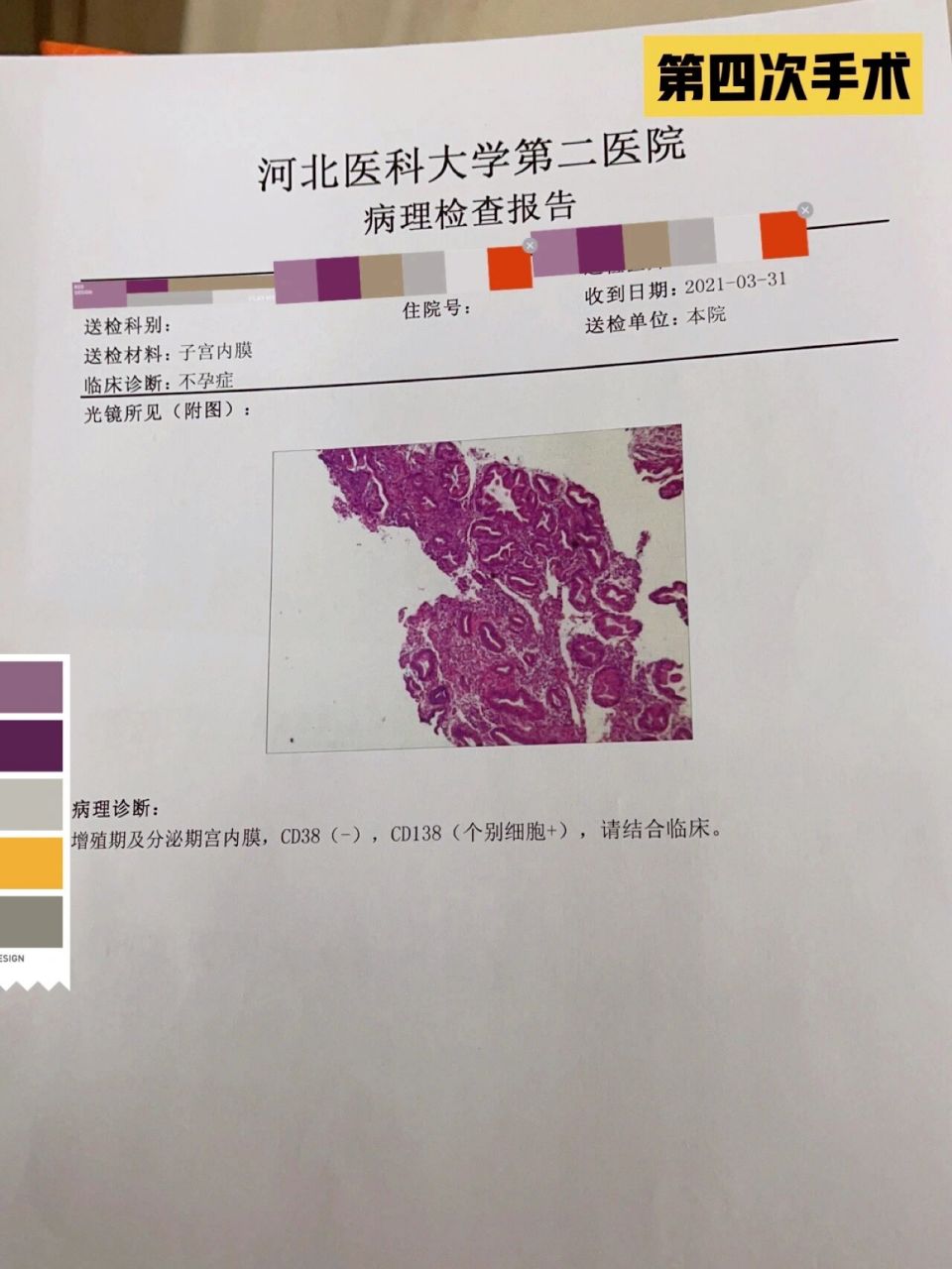 宫腔镜病理报告图片图片