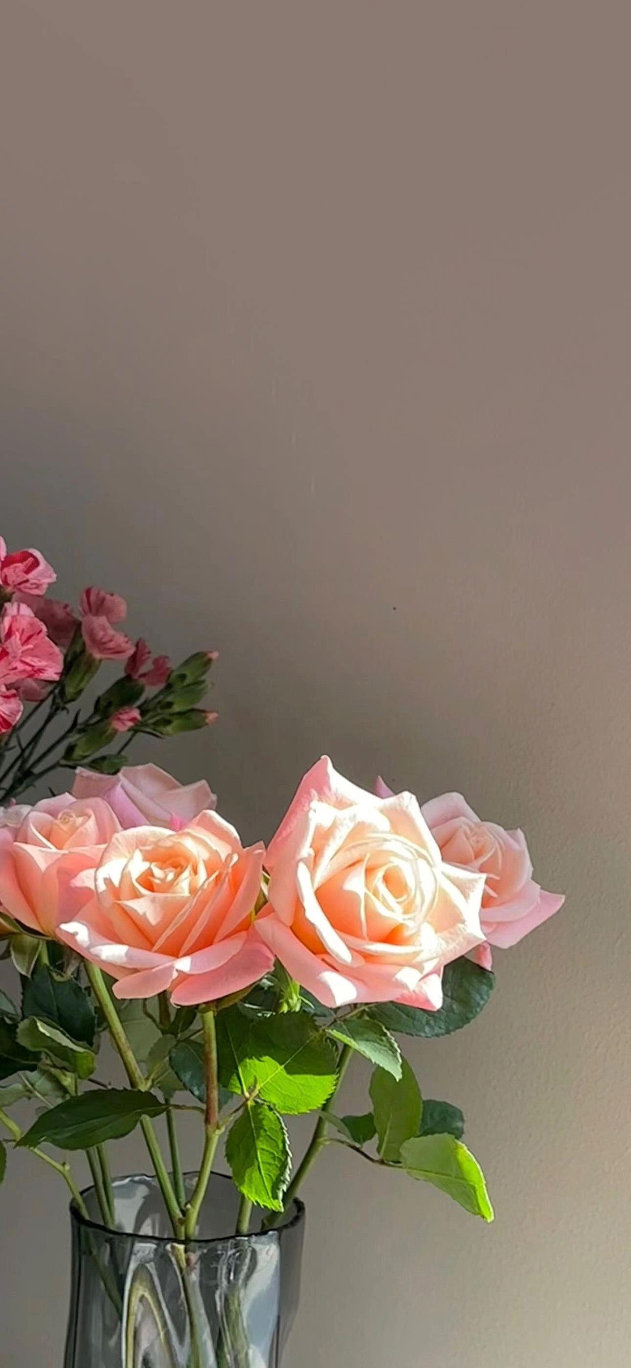 手机壁纸鲜花花束