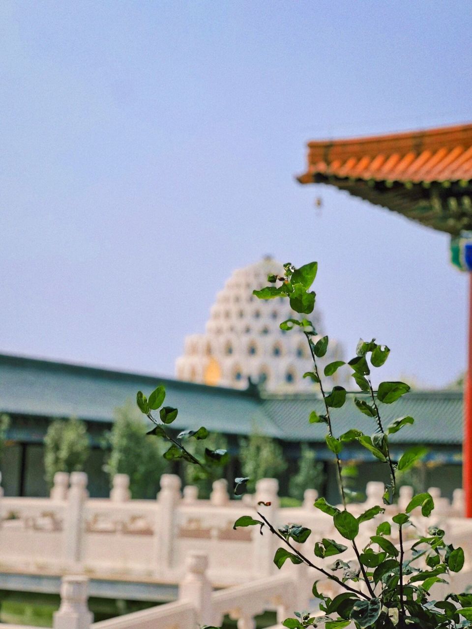 【寺庙参拜】唐山·菩提岛朝阳庵,潮音寺 认真记录每一次寺庙参拜