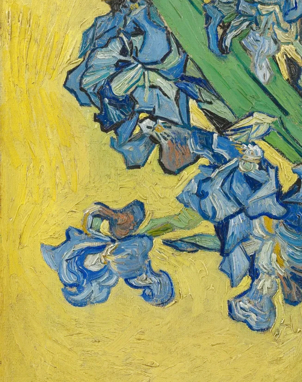 9815 名画《鸢尾花》梵高 油画作品 irissen 1890荷兰画家99