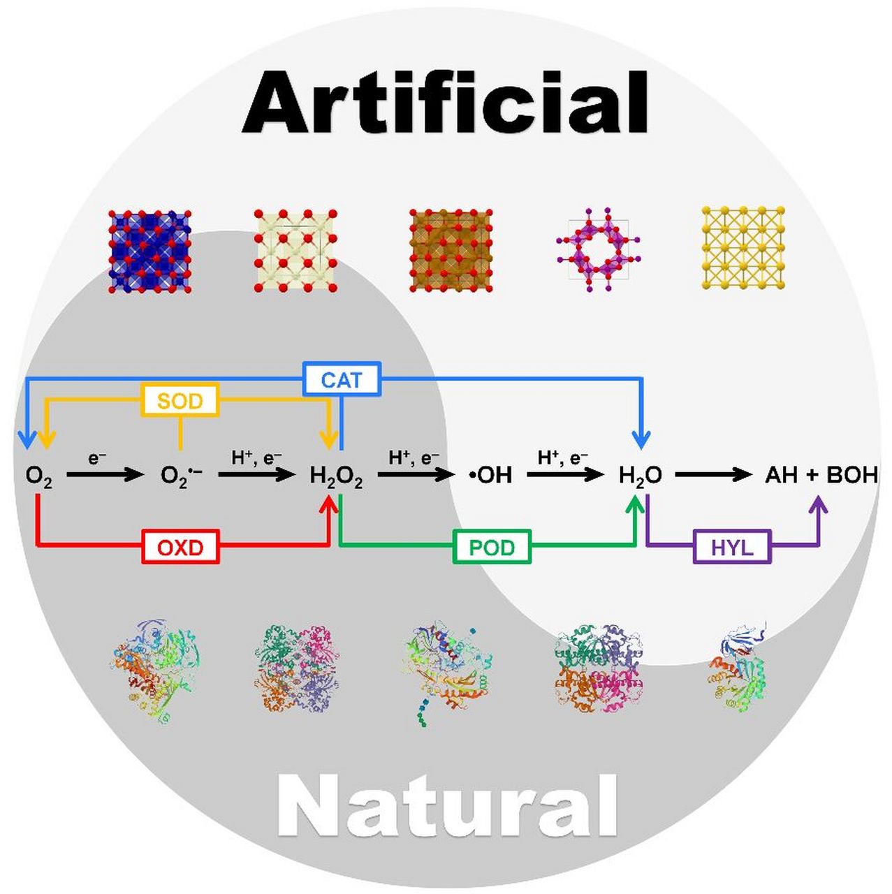 计算驱动的纳米酶理性设计手段 计算驱动,即利用计算机以原子水平的
