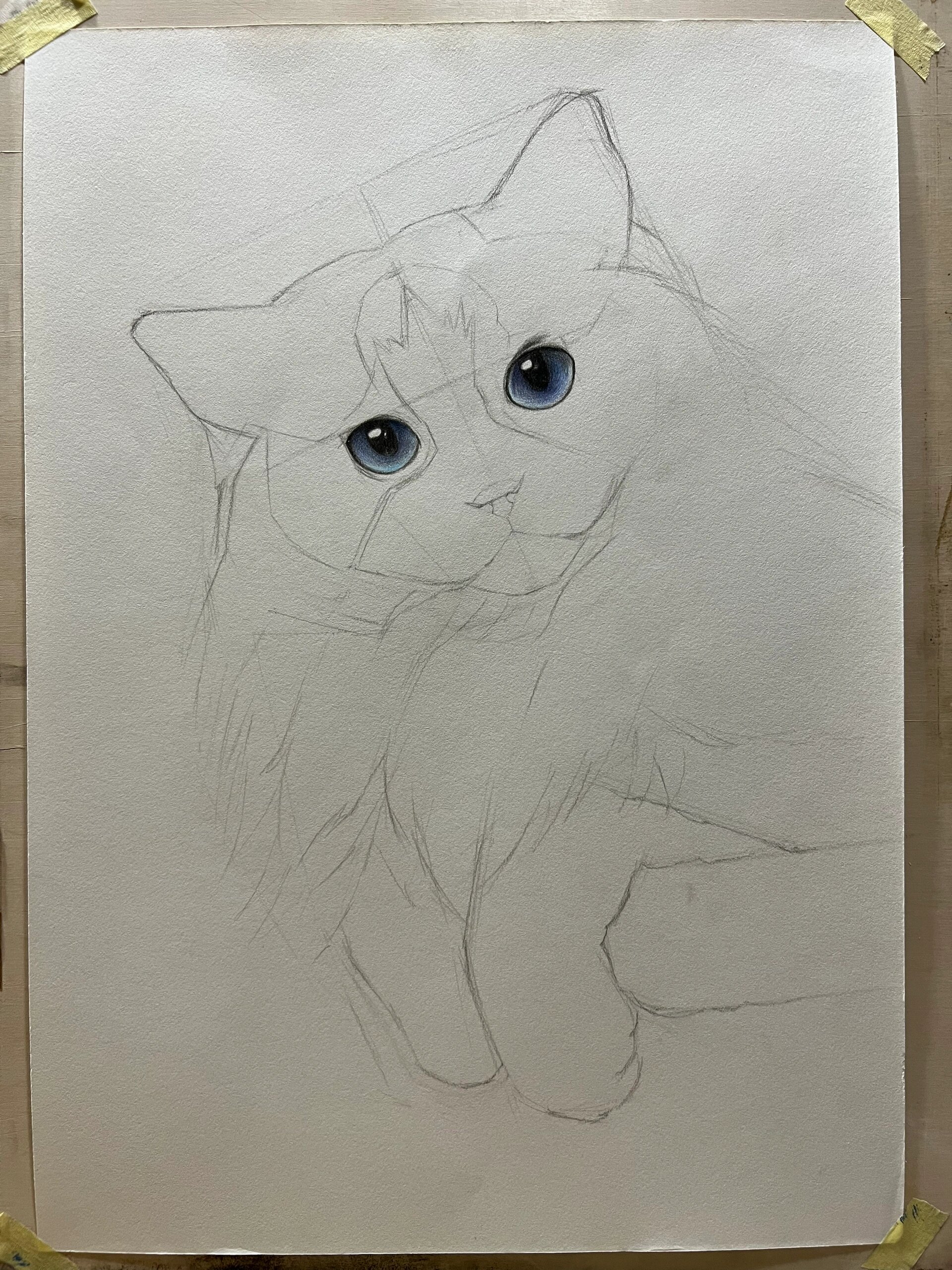 精微素描布偶猫咪步骤图